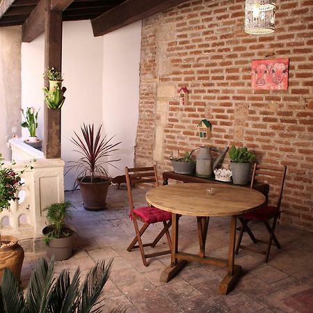 Appartement Le Cerf Volant à Albi Extérieur photo